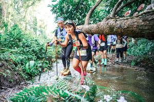 BIB: 
                            <button type="button" onclick="openModal(25478647)" class="btn btn-primary btn-sm float-right btn-popup" data-toggle="modal" data-target=".modal-high-quality">
                        <i class="fas fa-shopping-cart"></i> Add to Cart
                    </button>
                                            <button type="button" onclick="isThisMe(25478647, true)" class="btn btn-success btn-sm float-right btn-popup btn-isme hidden" data-toggle="tooltip" data-placement="bottom" title="นี่คือรูปของคุณใช่ไหม คลิกที่นี่เพื่อเอาเข้าอัลบั้ม">
                        <i class="fas fa-plus"></i> Add to album
                    </button>
                    <button type="button" onclick="isThisMe(25478647, false)" class="btn btn-warning btn-sm float-right btn-popup btn-isnotme hidden">
                        <i class="fas fa-ban"></i> Remove from album
                    </button>